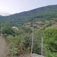 زمین-کوه-پایه-ای-خوش-قیمت-رامسر