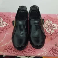 کفش|کیف، کفش، کمربند|شیراز, گویم|دیوار