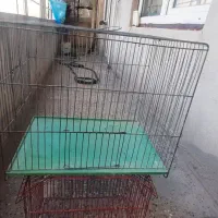 قفس پرنده