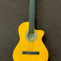 گیتار زیبا نو نو