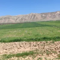 فروش زمین