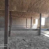 دامداری|فروش دفتر صنعتی، کشاورزی، تجاری|جوادآباد, |دیوار