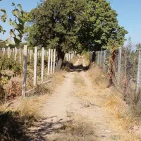 فرروش یک قطعه باغ سنددار|فروش زمین و ملک کلنگی|محمدشهر, همایون ویلا|دیوار