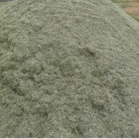 یونجه درجه ۱