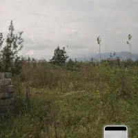 7700 متر زمین باغی مناسب گلخانه رودسر شکرپس|فروش زمین و ملک کلنگی|املش, |دیوار