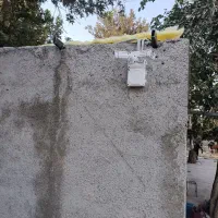 نصب انواع دوربین مدار بسته و دزد گیر|خدمات پیشه و مهارت|اسلامشهر, باغ فیض|دیوار