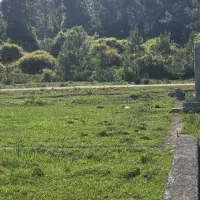 زمین شهرک شفارود پرهسر