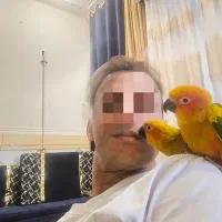 طوطی خورشیدی سخنگو|پرنده|اهواز, گلدشت|دیوار