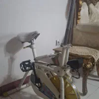 دوچرخه ثابت