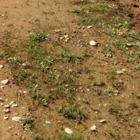 زمین کشاورزی۶۰۰۰متری