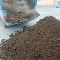 کودگاوی کود حیوانی ورمی کود گاوی آستان قدس رضوی