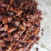 خرمای کبکاب درجه دو
