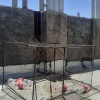 قفس پرنده