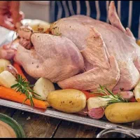 فروش گوشت بوقلمون تازه|خوردنی و آشامیدنی|مشکیندشت, |دیوار