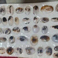 شجر قائن اصل معدن دونه ای ۳۵۰هزار  تومن