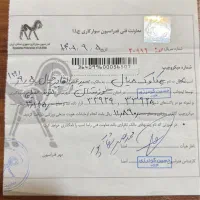 فروش اسب|اسب و تجهیزات اسب‌سواری|کازرون, |دیوار