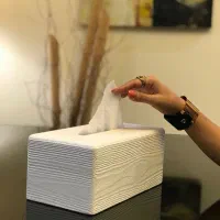 دستمال|مواد شوینده و دستمال کاغذی|تهران, تهرانپارس غربی|دیوار