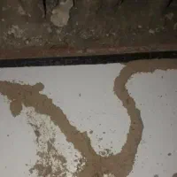 سمپاشی وریشه کنی عمری ودائمی موریانه.ساس.وغیره