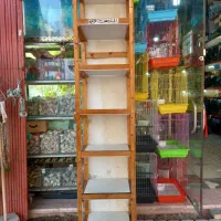 قفسه چوبی، برای جفت کن کبوتر|لوازم جانبی حیوانات|نوشهر, |دیوار