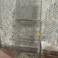 قفس سهره و قفس کاسکوی ۱۰۳۳|لوازم جانبی حیوانات|بندر امام خمینی, |دیوار