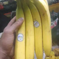 میوه و تره بار خوراکی