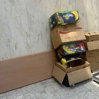 کارتون اسباب کشی