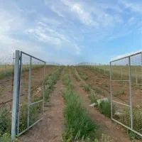 فروش باغچه ۳۰۰۰ متری