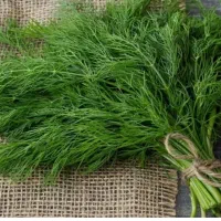 شویدخشک سر گل