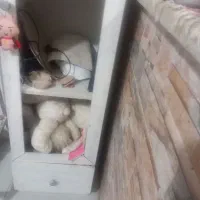 کمدجاکتابی