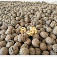 ماست. کره. گردو. محلی