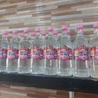 گلاب ناب کاشان|خوردنی و آشامیدنی|کاشان, کشاورز|دیوار