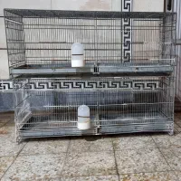 دوعددقفس پرنده برای فروش