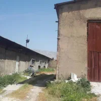کارگر مرغداری