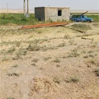 اجاره زمین برا سیب زمینی