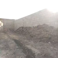 کود مرغی زیل ذیل