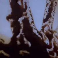 فال|خدمات پذیرایی، مراسم|اصفهان, خواجو|دیوار