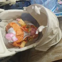 گهواره برقی
