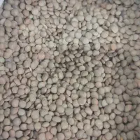 فروش حبوبات عسل کشمش برنج وخرده فجر باکیفیت|خوردنی و آشامیدنی|صدرا-فارس, فاز ۲|دیوار