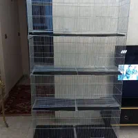 قفس جوجه پران پرون قناری عروس هلندی فنچ مرغ عشق|لوازم جانبی حیوانات|تهران, جوادیه|دیوار