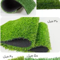 پادری ژله ای|پادری|بهارستان, |دیوار