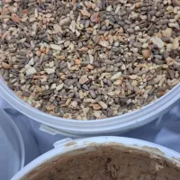 معجون مغزدار|خوردنی و آشامیدنی|ایلام, |دیوار