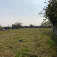 5100مترزمین مسکونی باغی وشالیزار۵دقیقه ساحل|فروش زمین و ملک کلنگی|رشت, منظریه|دیوار