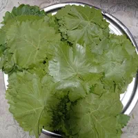 دلمه برگ مو با گوشت گرم گوسفندی با بالاترین کیفیت|خوردنی و آشامیدنی|شیراز, معالی‌آباد|دیوار