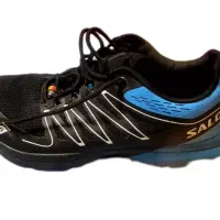 کفش سالومون