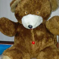 عروسک پولیشی بزرگ ۶۰در ۵۵ سانت|اسباب‌بازی بچه|تهران, صادقیه|دیوار