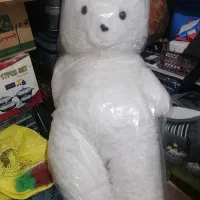 خرس بزرگ نو. نو یک متری
