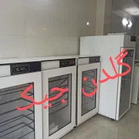 دستگاه جوجه کشی شرکتی به صورت اقساط