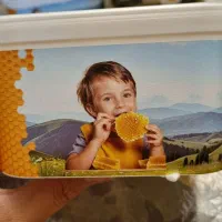 تولید ظرف عسل|ظروف نگهدارنده، پلاستیکی، یک‌بارمصرف|اردبیل, |دیوار