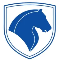 آپشن ایرانخودرو