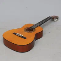 گیتار والنسیا cg160